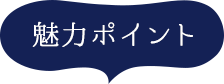 魅力ポイント